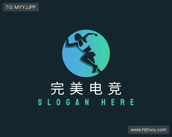 关于完美电竞